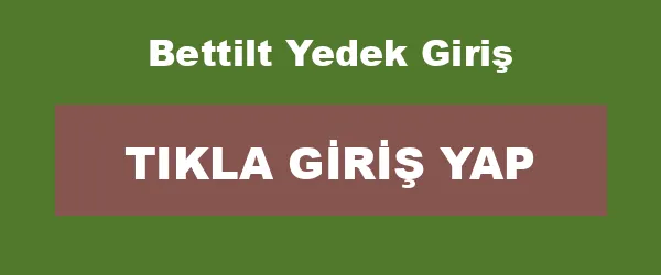 Bettilt Yedek Giriş infografik